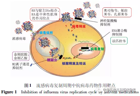 兒科門診紀(jì)實：患兒續(xù)增 拐點未現(xiàn)