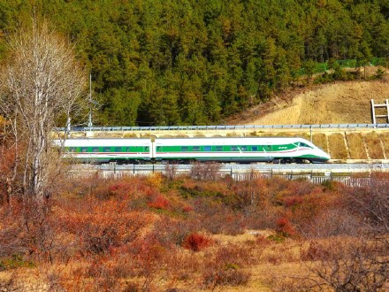 麗香鐵路即將通車 試試坐火車去香格里拉！